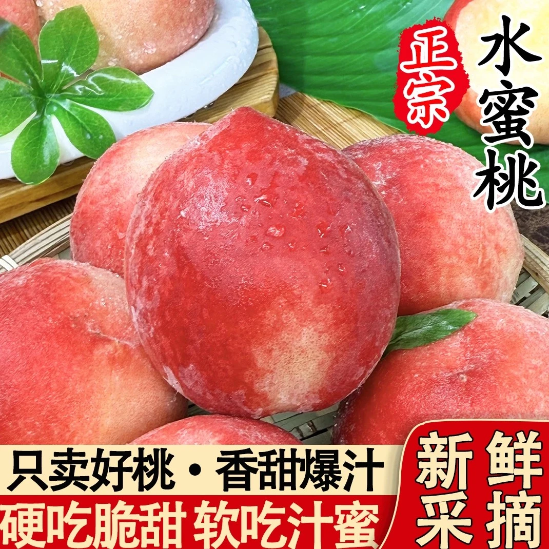 {顺丰包邮现摘现发}采摘水蜜桃买4斤送1斤果香浓郁软脆多吃现摘现发安徽省