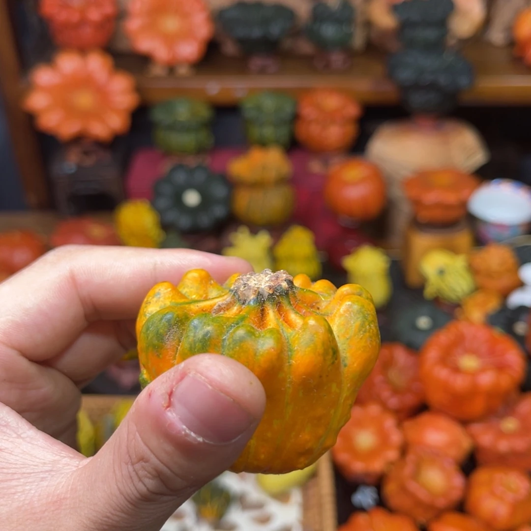 A****o哈喽哈喽哈喽哈喽厉害厉害