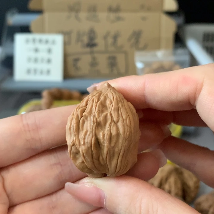 ****吊坠文玩核桃异形单只，有瑕疵