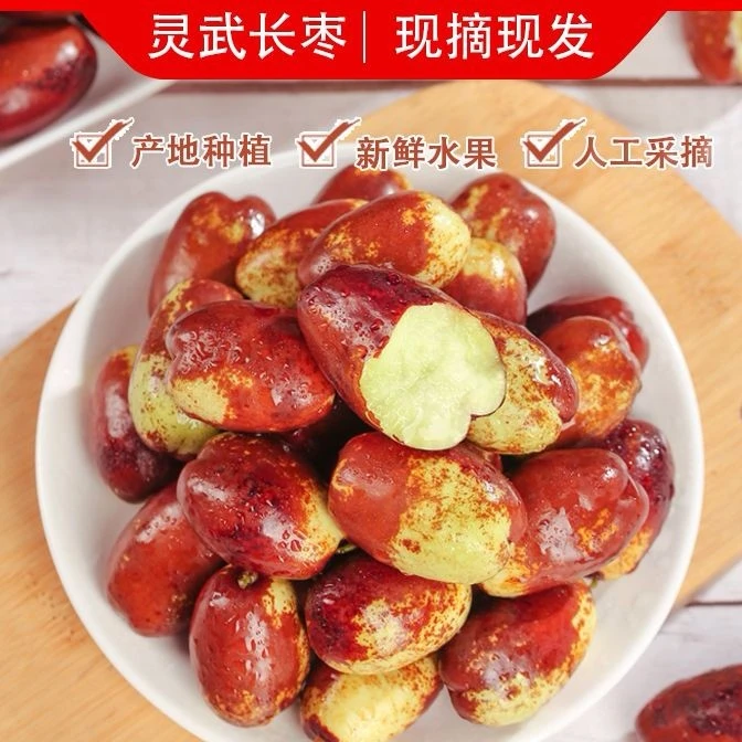 正宗宁夏灵武长枣现摘现发脆甜多汁当季新鲜水果