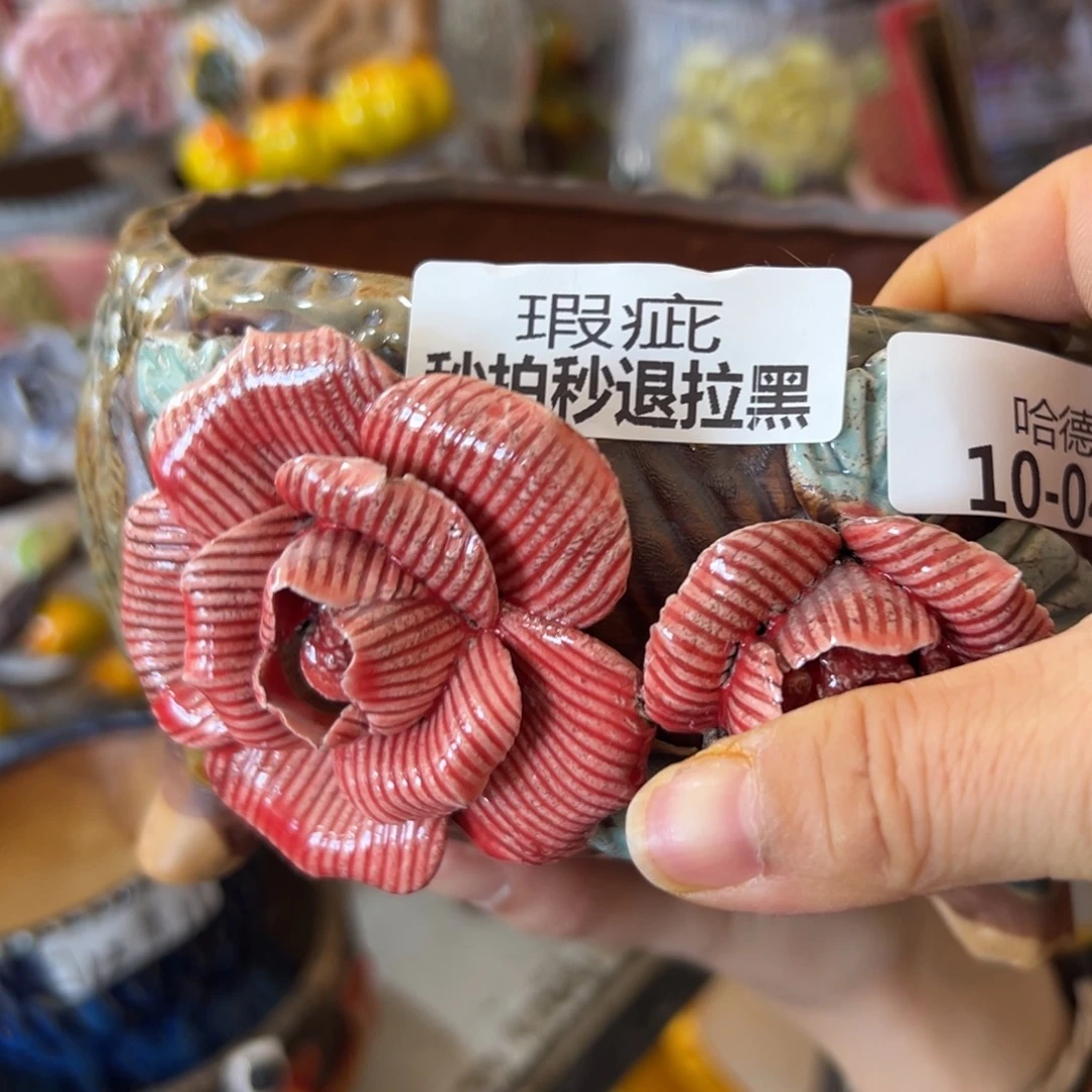 瑕疵1047 花盆，拍满20发货，退款拉黑