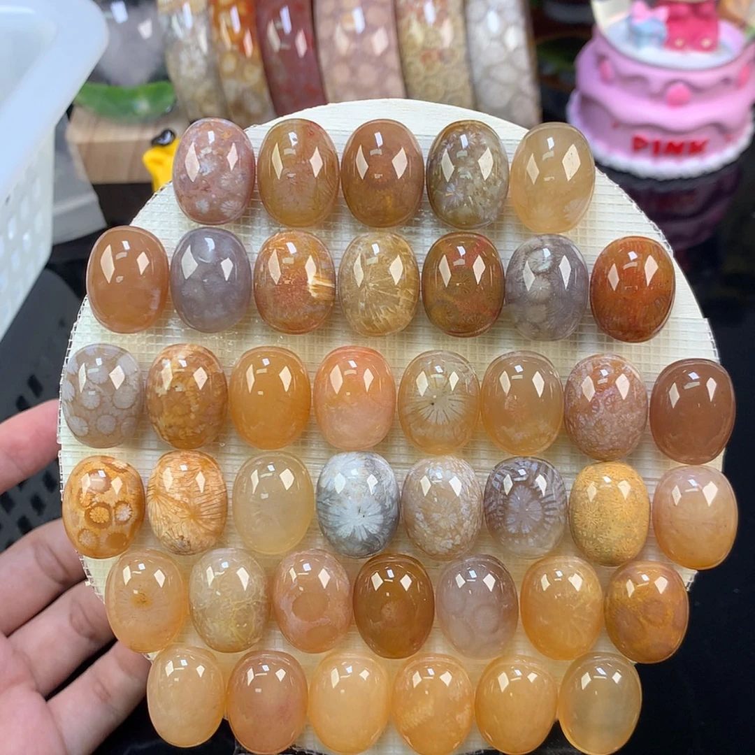 【闪购商品】颈饰未镶嵌硅化珊瑚（珊瑚玉）福利龟背50一个（58号）