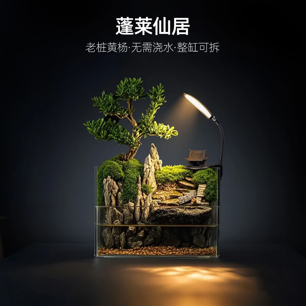 【雾隐】蓬莱仙居—黄杨水陆带灯桌面山水缸造景【尺寸：25*16*18】