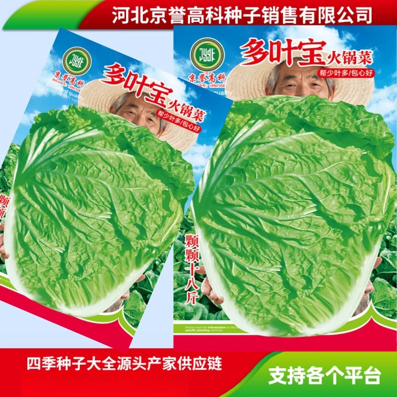 【全店满3元包邮】火锅菜白菜种子家庭园艺农家小菜园蔬菜瓜果种