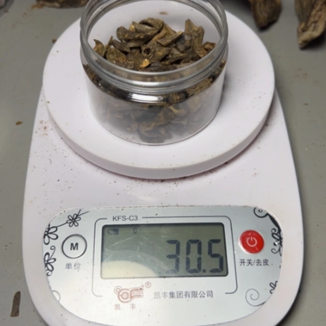 【闪购商品】树脂制品依*乐陆河树丁香