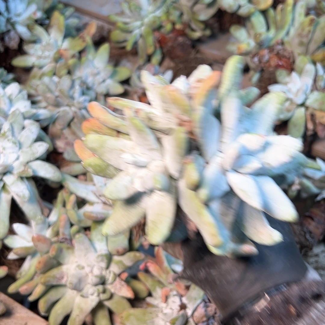 7644哈哈哈哈哈哈哈哈