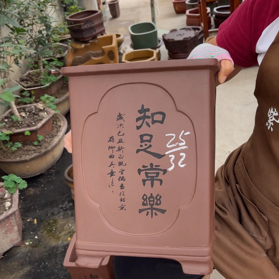 花盆紫砂盆景艺术