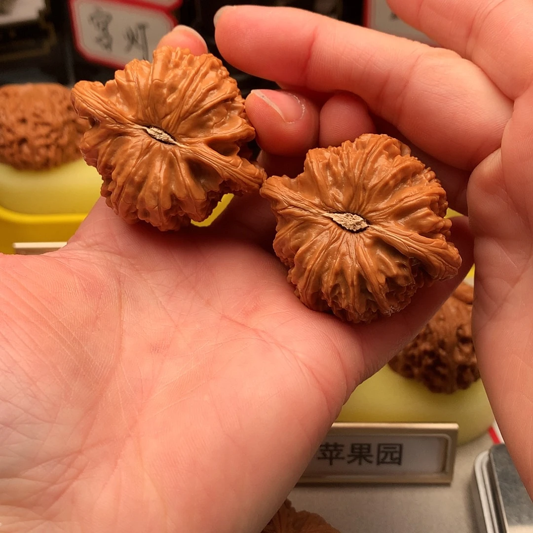 素***塑文玩核桃吊坠45.5尺白狮子454号