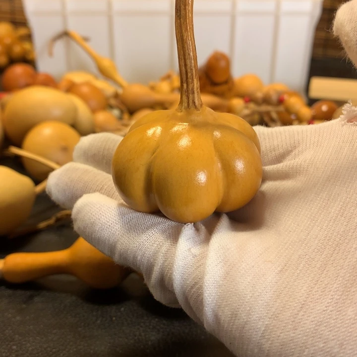 您是一颗小心呀你知道你现在做