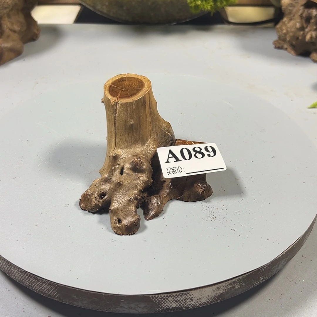 大果紫檀（缅甸花梨）漾*画