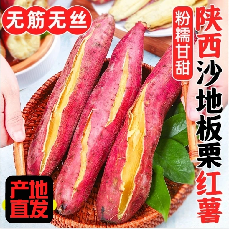 正宗陕西板栗红薯现挖蜜薯干面口感沙地新鲜番薯B