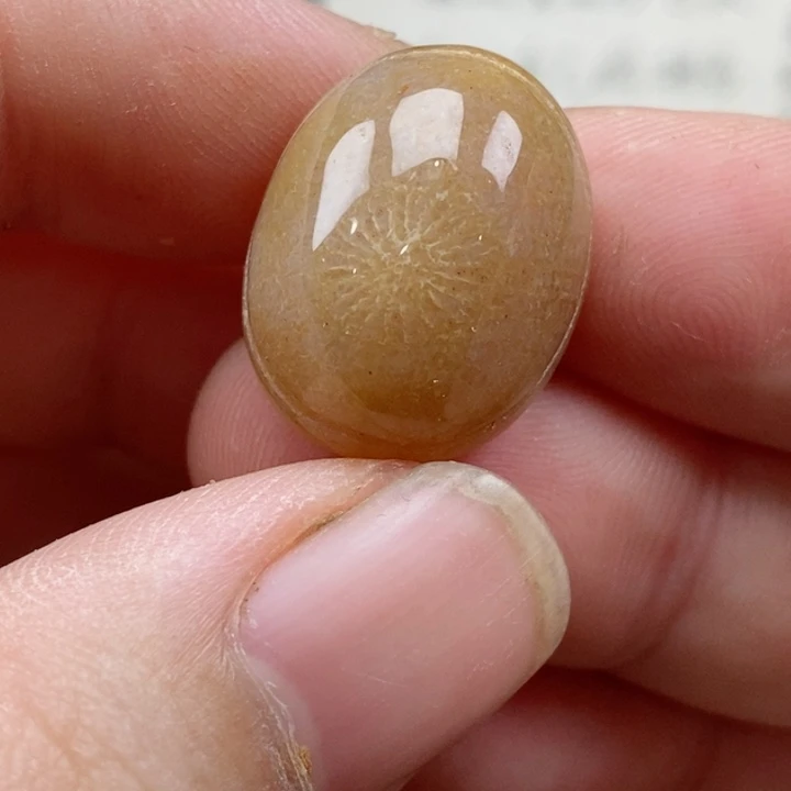 硅化珊瑚（珊瑚玉）未镶嵌颈饰