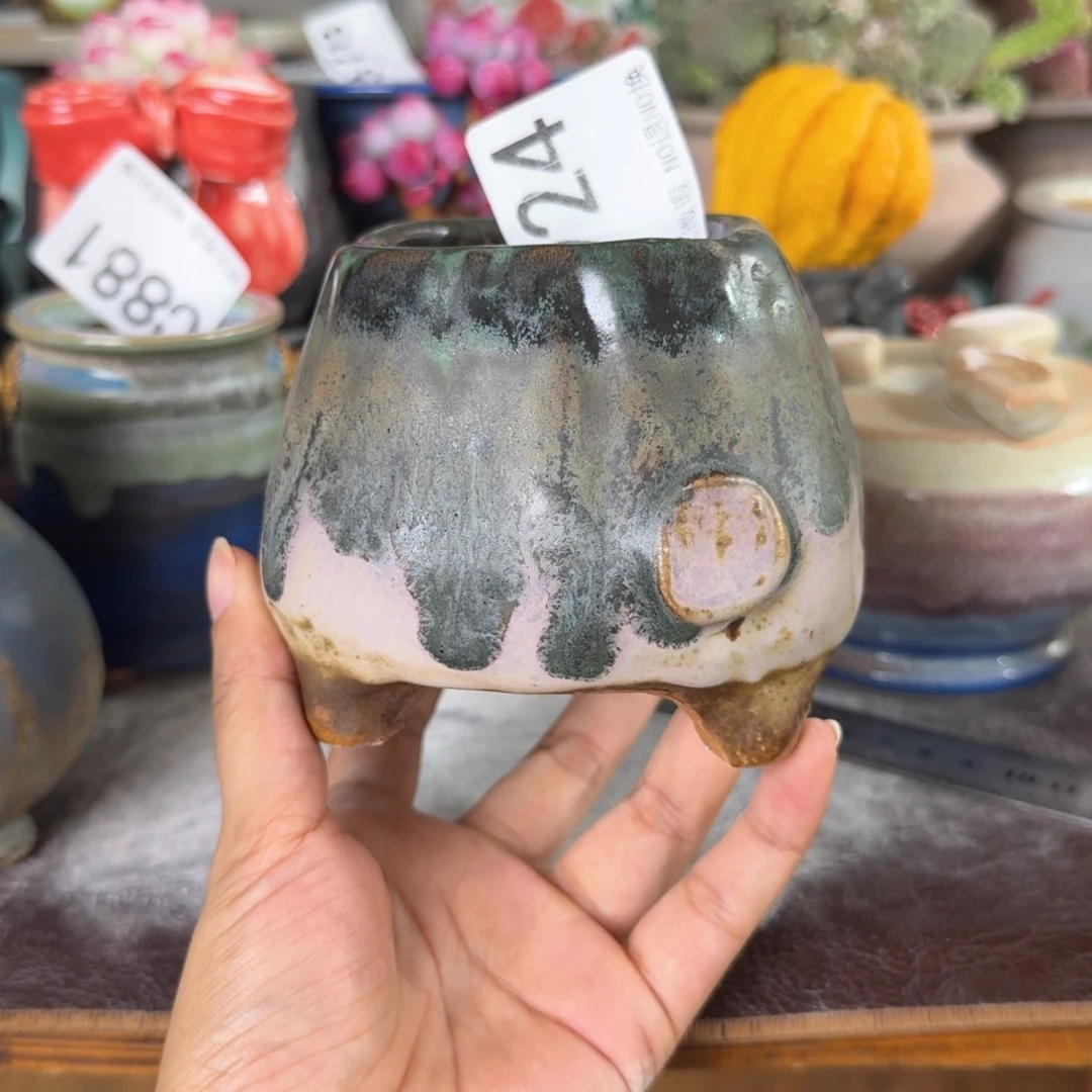 重庆小燕子欢迎大家924