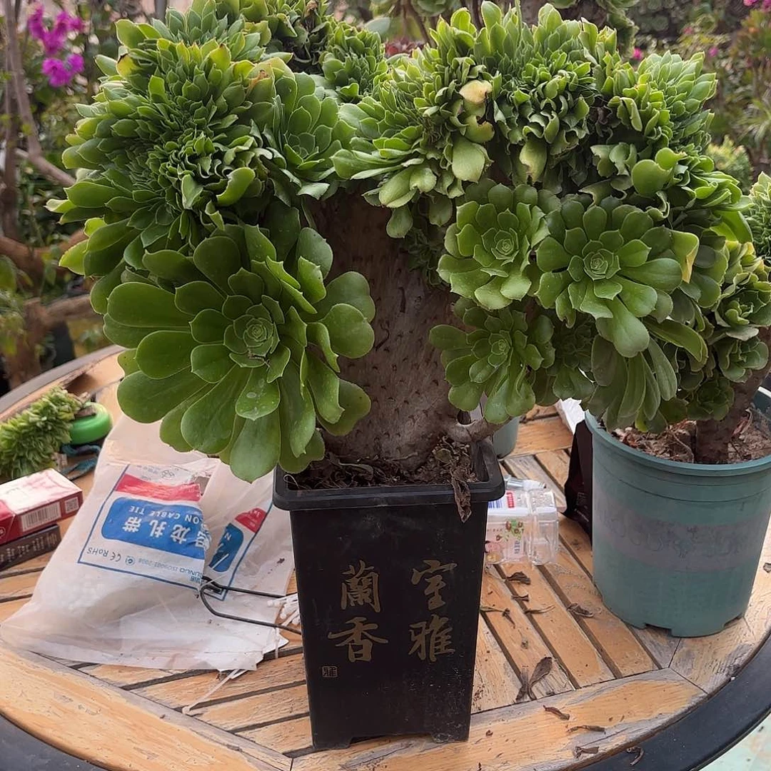 哈哈哈哈哈哈哈哈哈哈