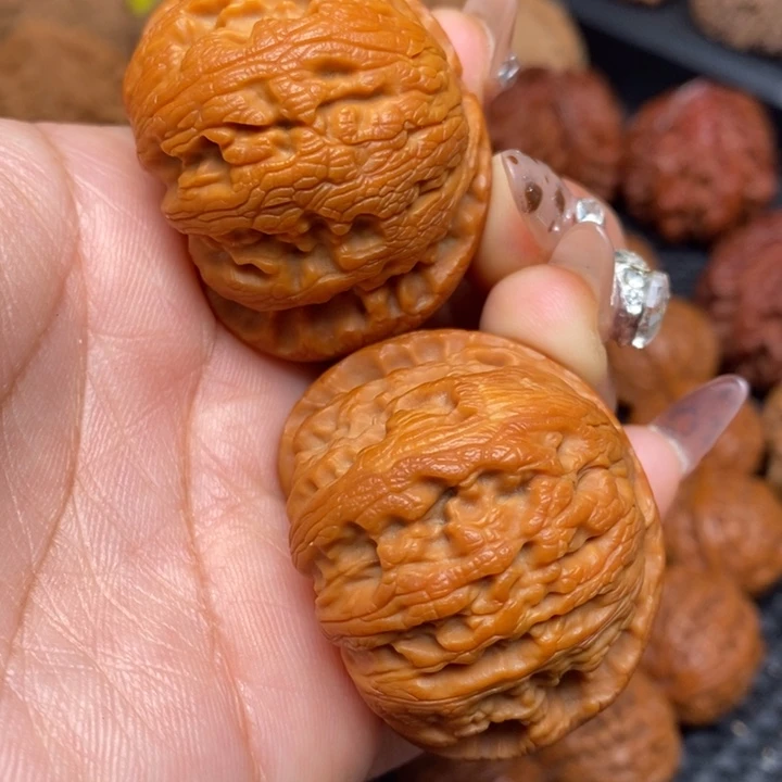 秦岭野生000000000027