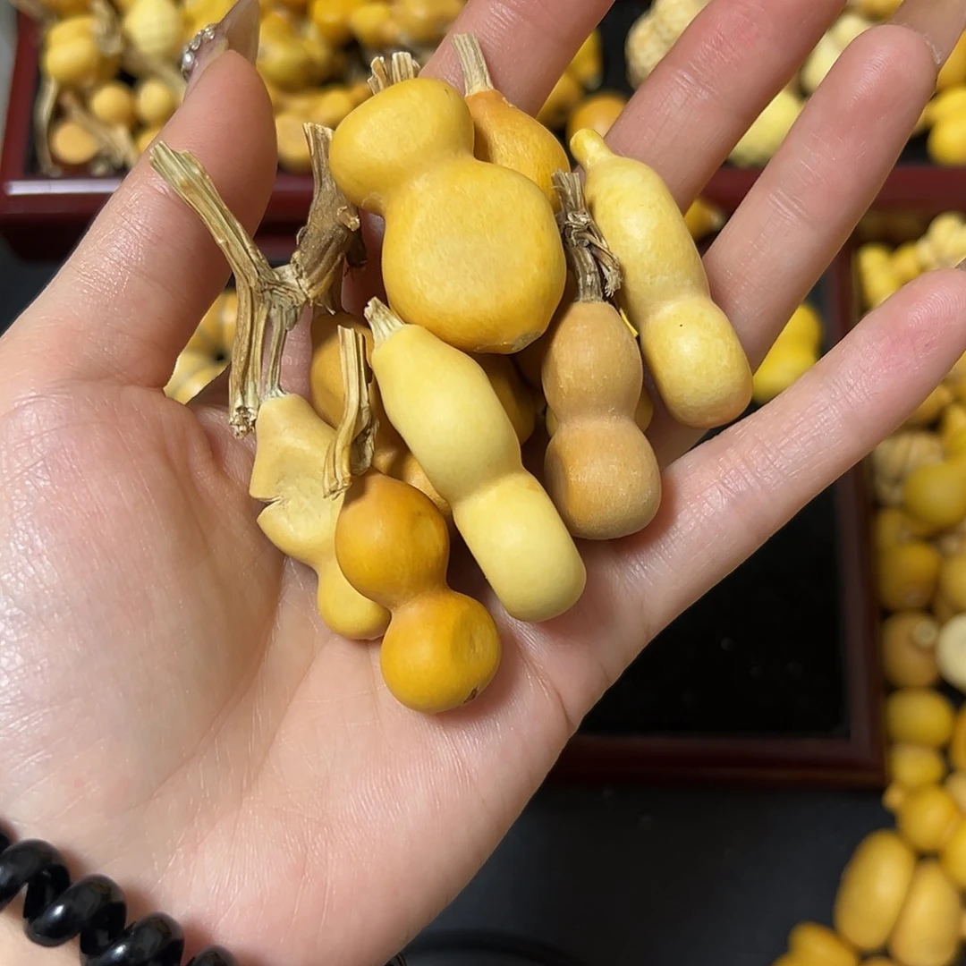 @****.葫芦葫芦葫芦葫芦