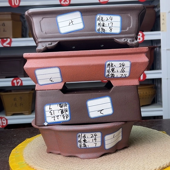 紫砂花盆蛇年大吉