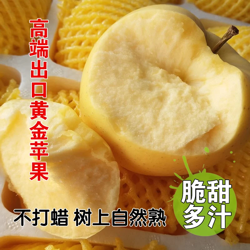 山东黄金奶油富士苹果脆甜多汁现摘现发新鲜当季薄皮水果冰糖心正