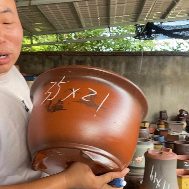 紫砂花盆盆栽花卉种植