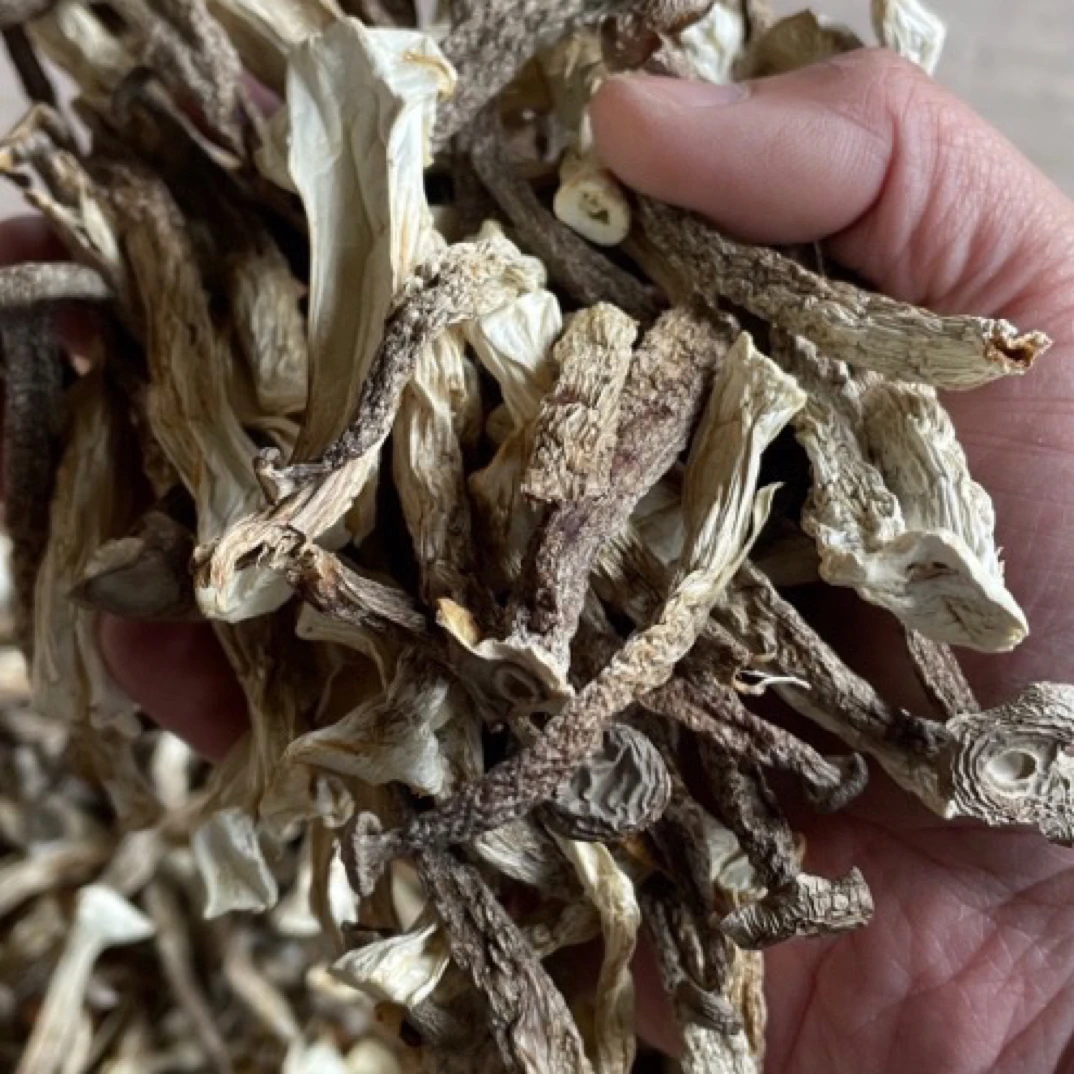 土家族高山农家自种蔬菜传统栽培蔬菜合集