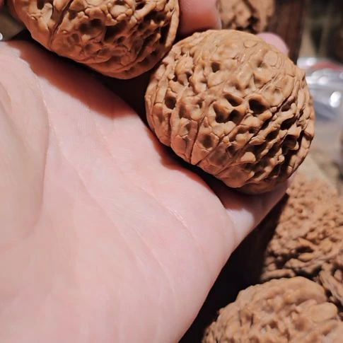 大***代文玩核桃吊坠43大团圆