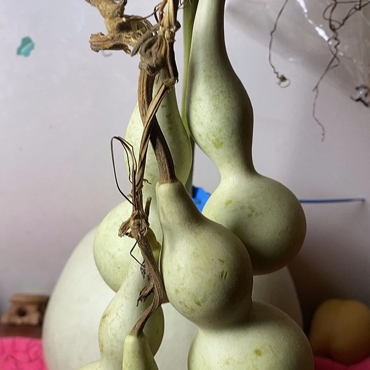 仙***弟青皮手把件葫芦摆件