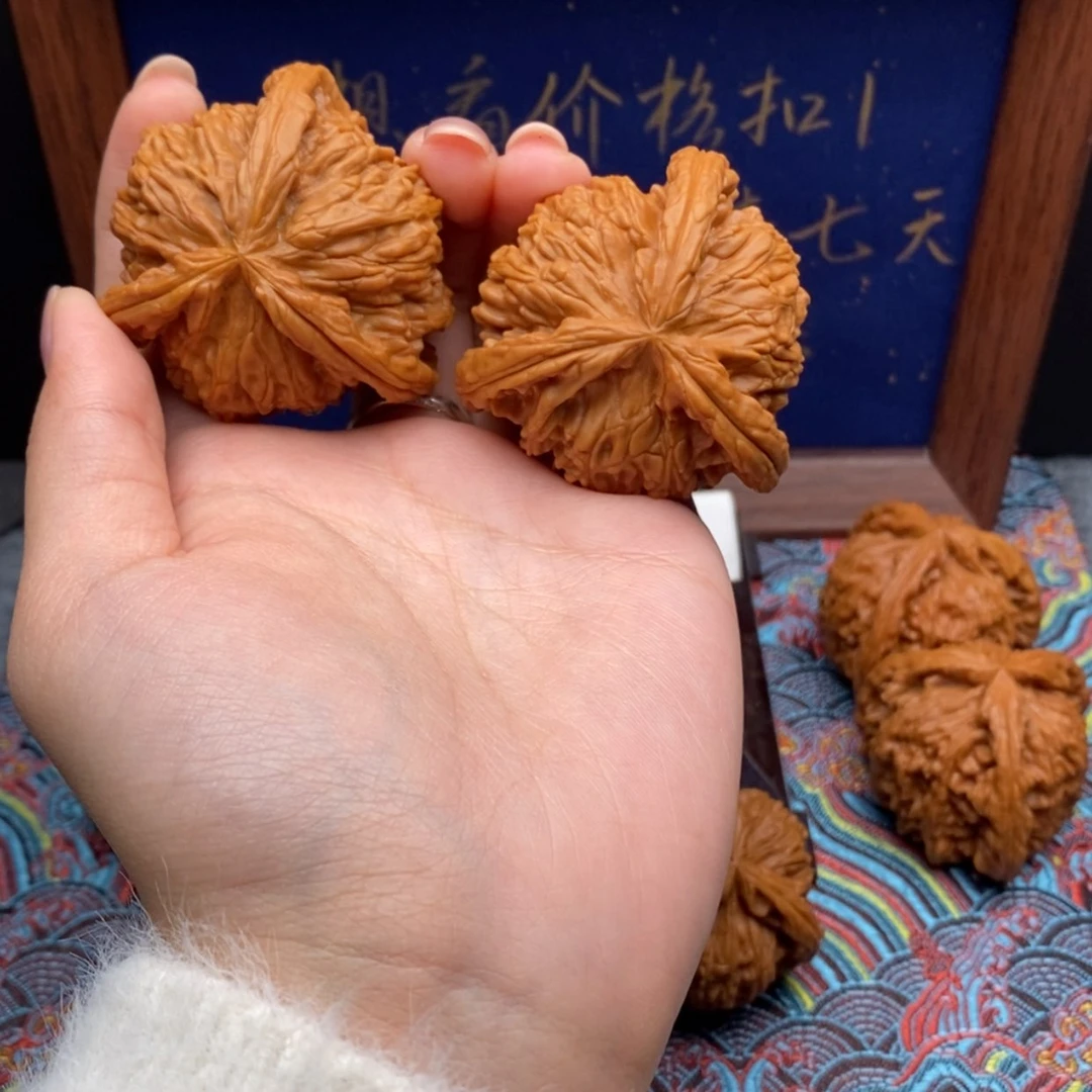 【闪购商品】?白狮