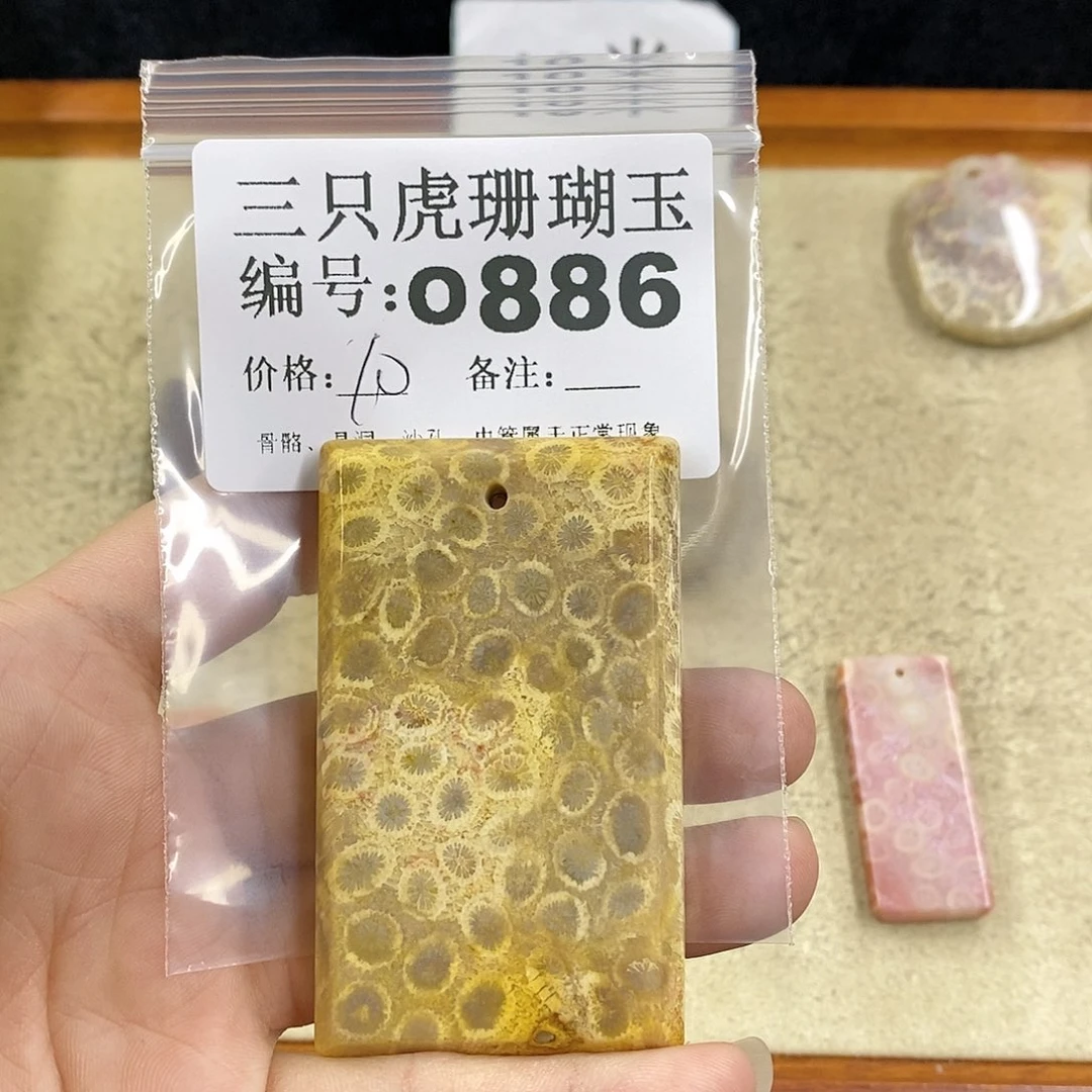 硅化珊瑚（珊瑚玉）1未镶嵌?****?