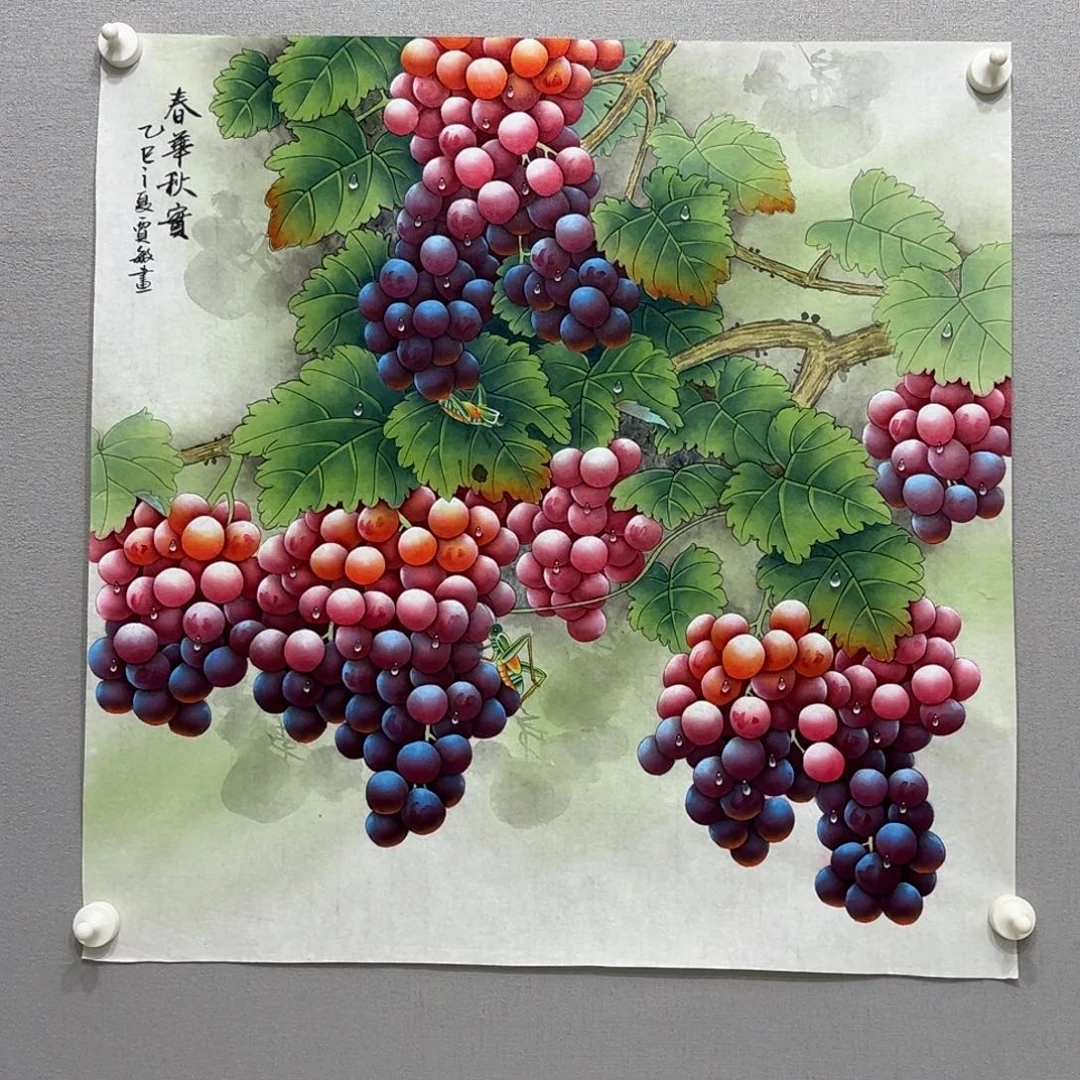 国画工笔葡萄斗方贾敏