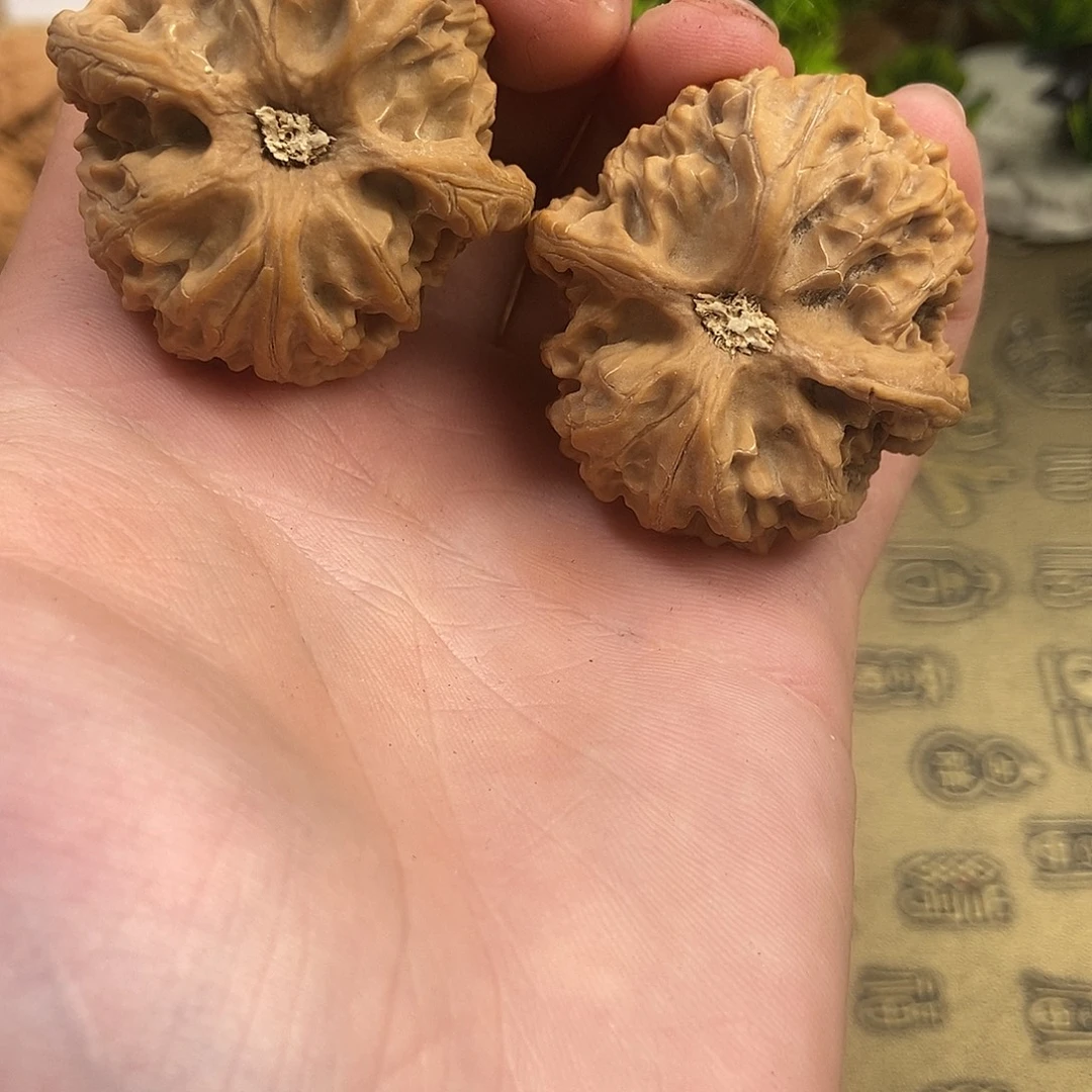 核桃苹果园42尺寸全品无修带微磕尖