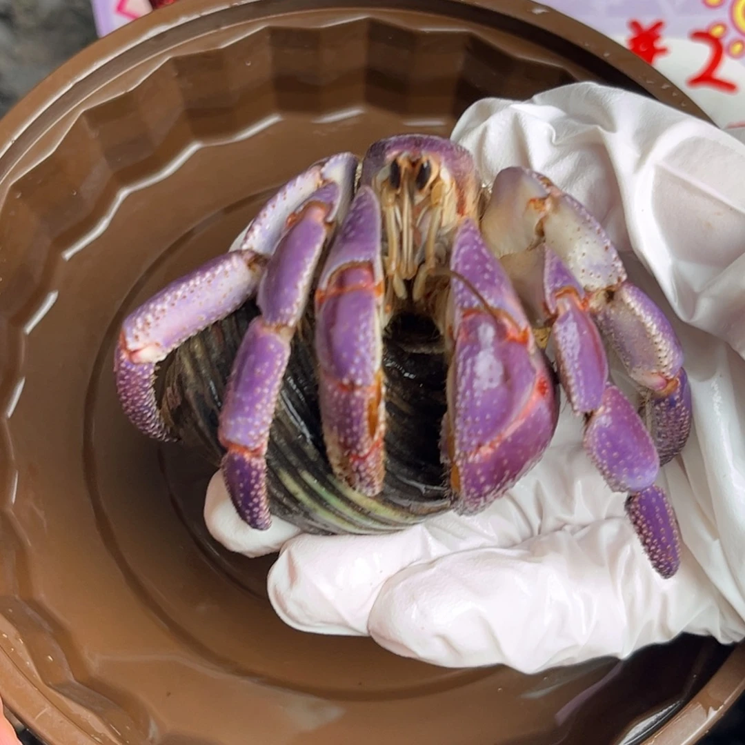 通体树莓粉3.7口