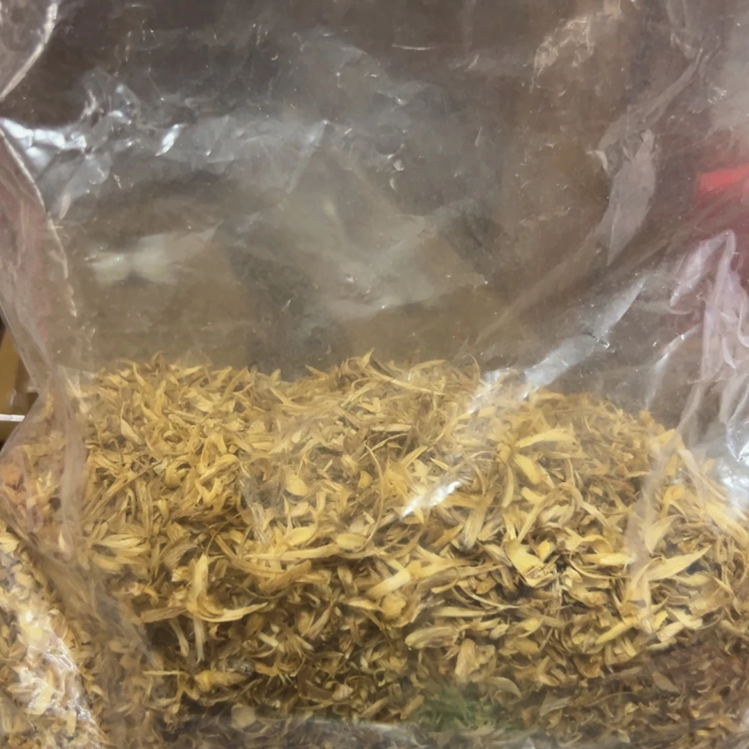 沉香碎屑沉香海南金丝油绿奇勾丝10克