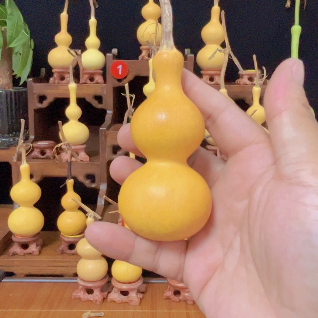 。***x宫廷八宝，一物一拍