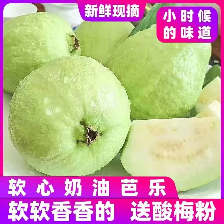 正宗广西白心芭乐当季番石榴清脆香檽甜鸡屎果孕妇新鲜水果番石榴