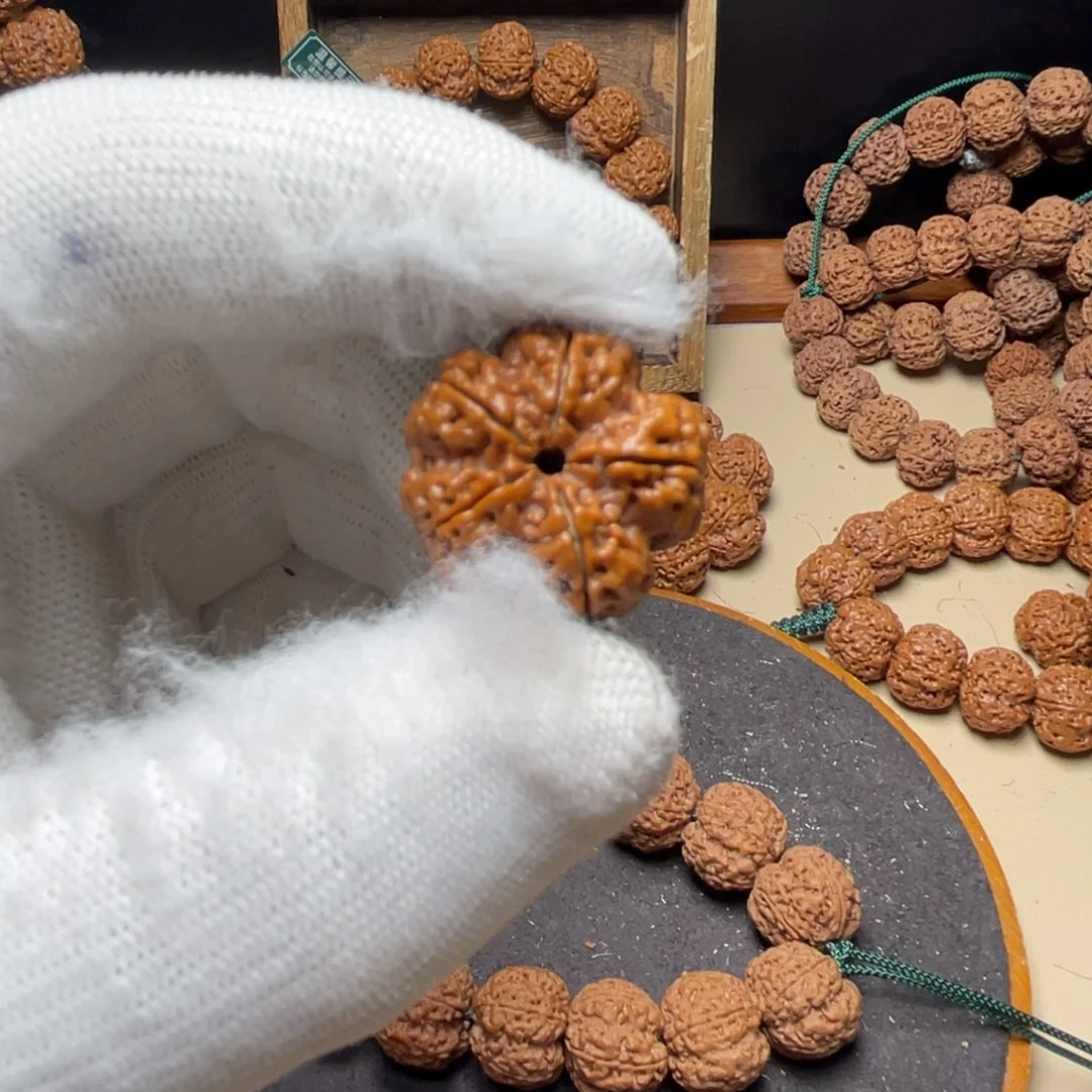 晚***星金刚菩提手串大金刚菩提套餐