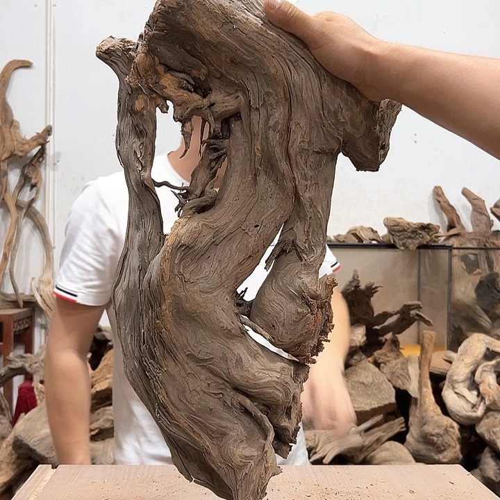 柏木磨*我们都是好孩子呀我也是