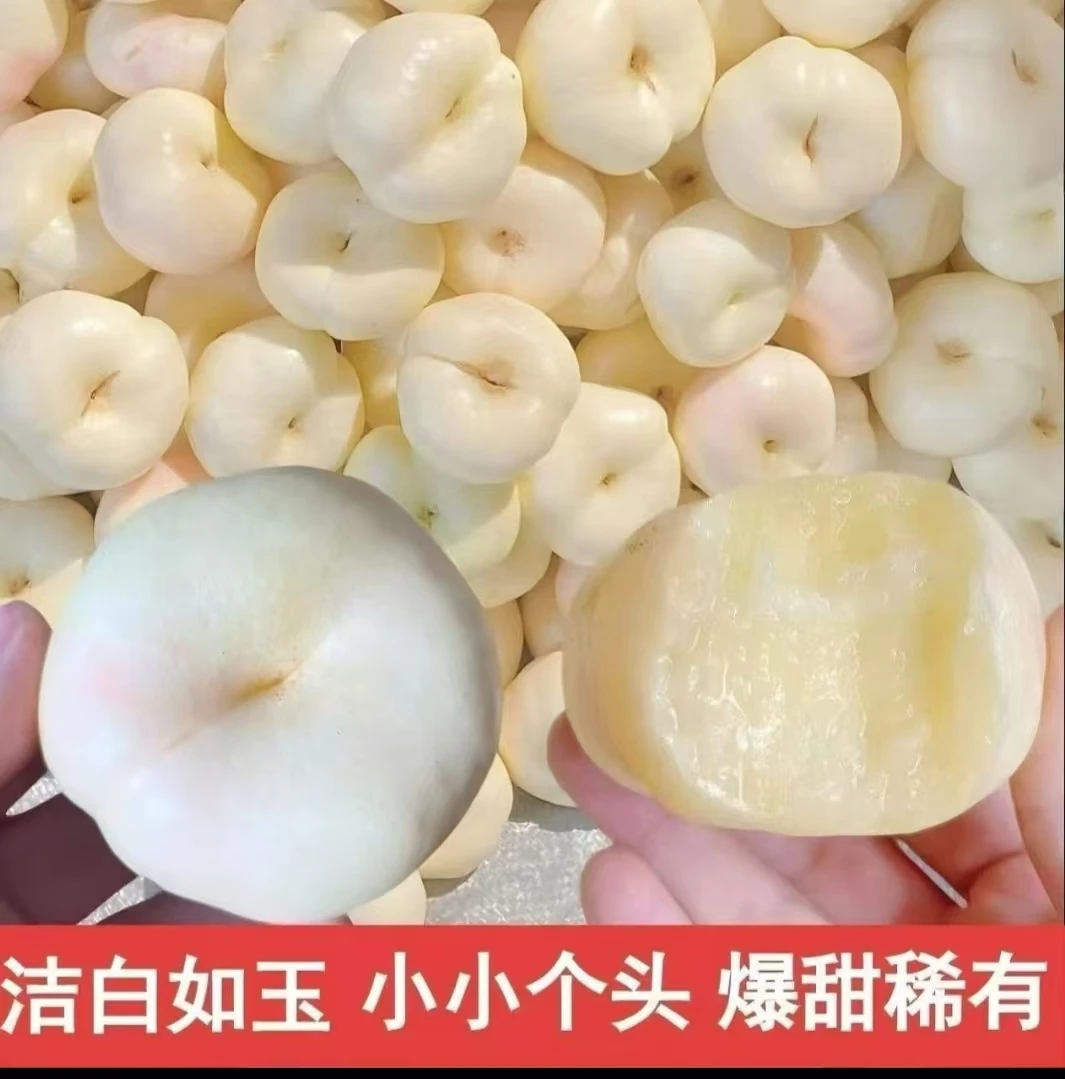 山东蒙阴奶油蟠桃夏日尝鲜脆软两吃香甜多汁新鲜水果
