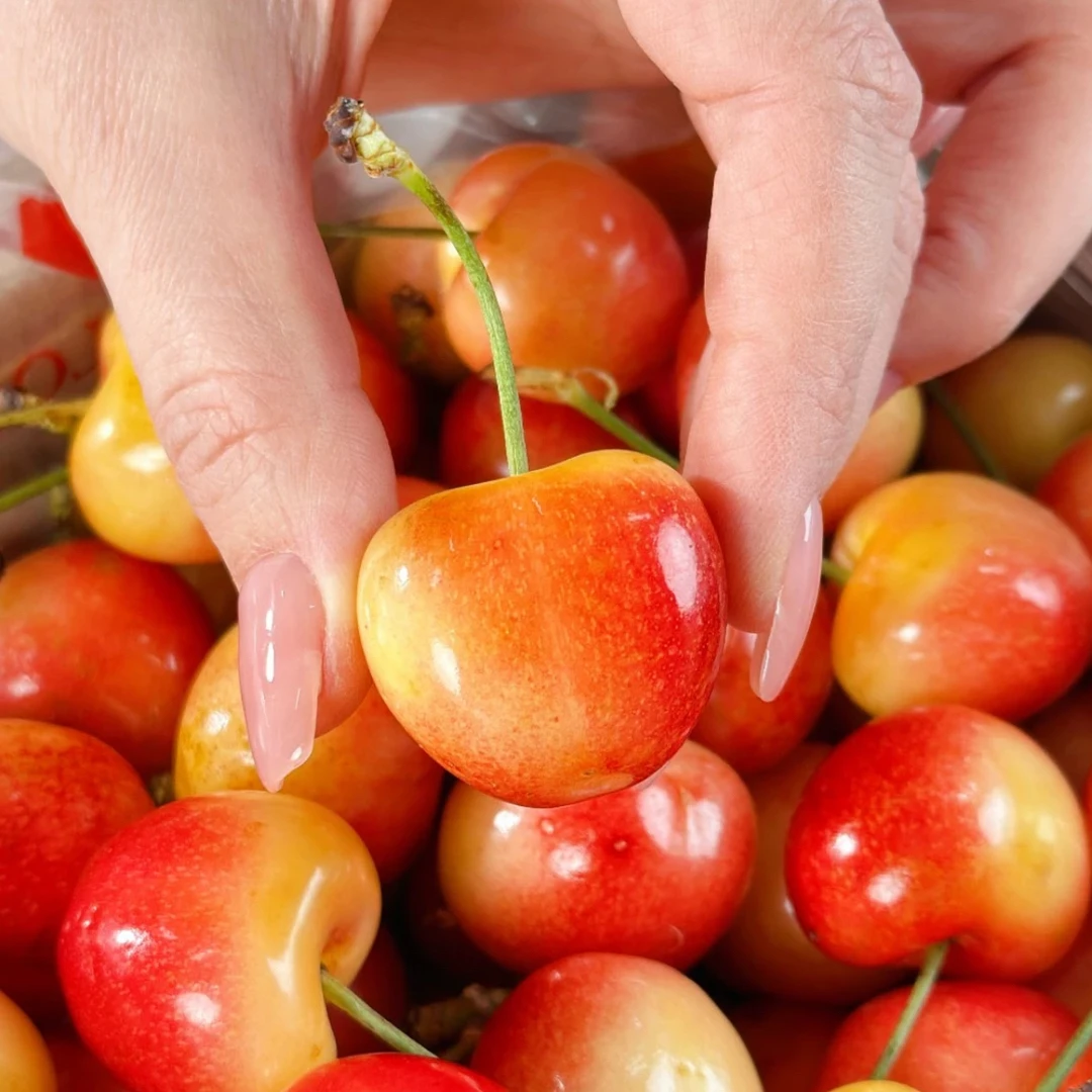 黄金车厘子雷尼尔智利空运4斤4J黄车2J 1斤脆甜口顺丰内附果径卡