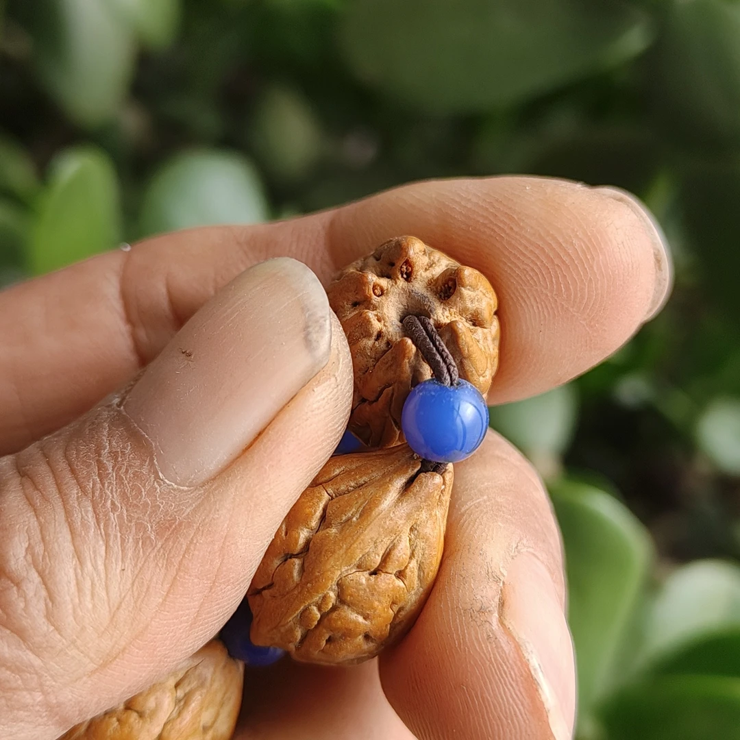 印尼佛手菩提，11颗，尺寸肚15，隔珠可忽略