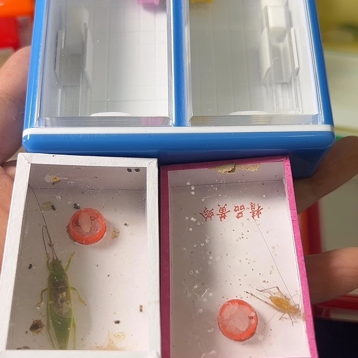 随***彪蟋蟀哈哈哈哈哈哈哈哈哈哈