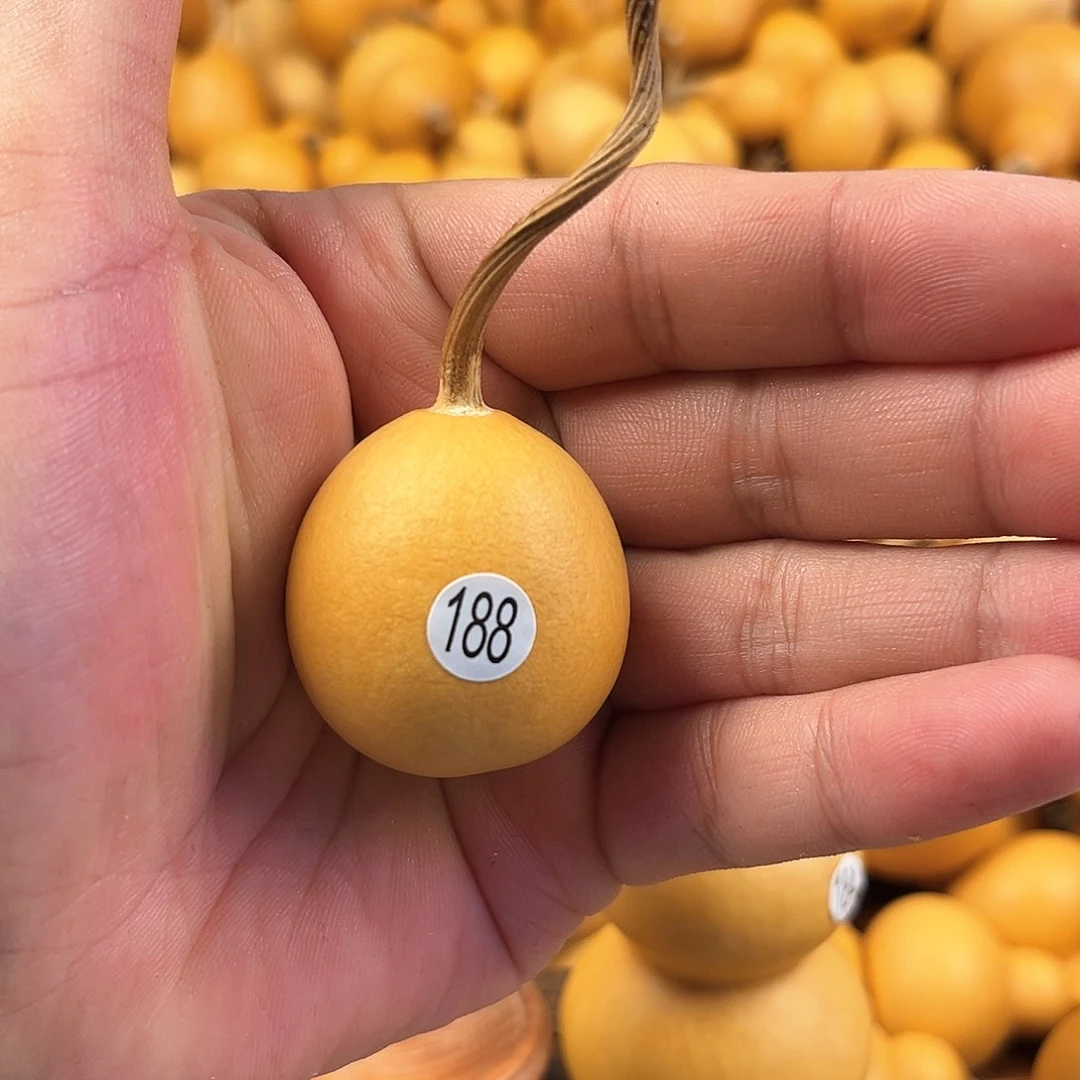 四葫芦葫芦葫芦葫芦188