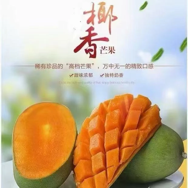 云南正宗永德椰香鸡蛋芒