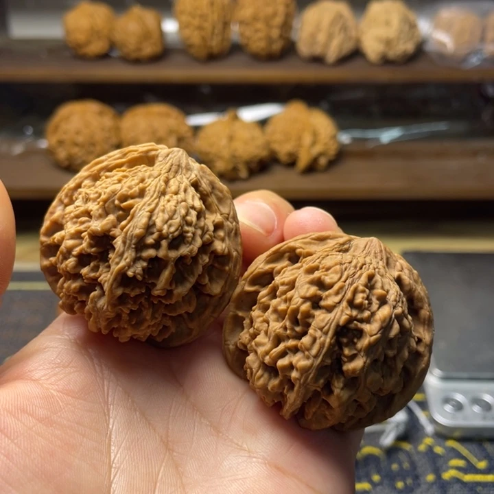 核桃满天星全品44.43.41