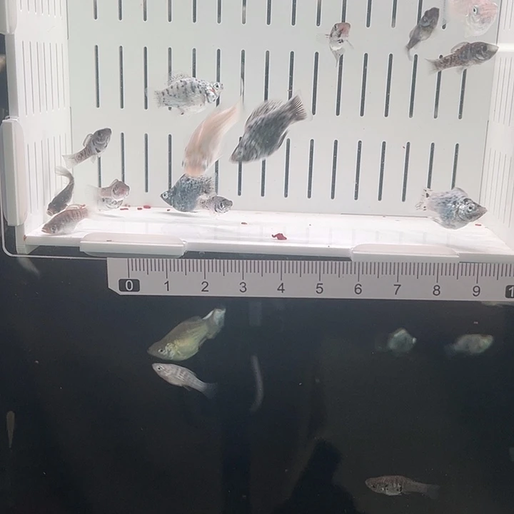 命***88888888888888888888