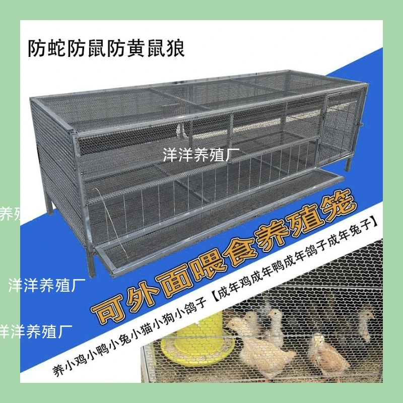 户外养殖鸡笼养鸡加厚镀锌方管防蛇鼠黄鼠狼育雏笼链条密网设计