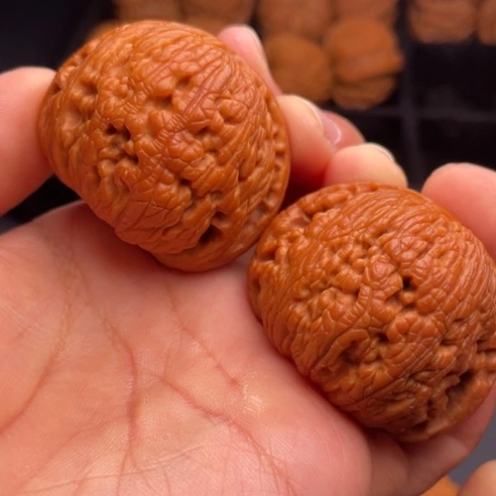 文玩核桃把件秦岭山脉核桃