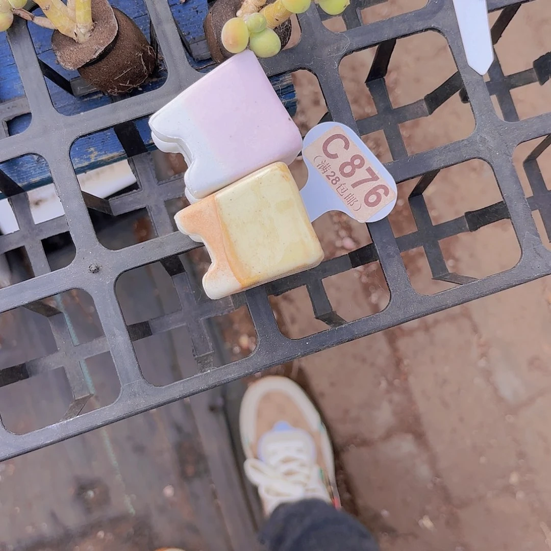 小***火C876花盆两个一物一拍