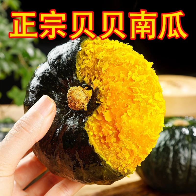 正宗内蒙古贝贝南瓜粉糯老南瓜新鲜香甜现摘可作孕妇宝宝辅食W