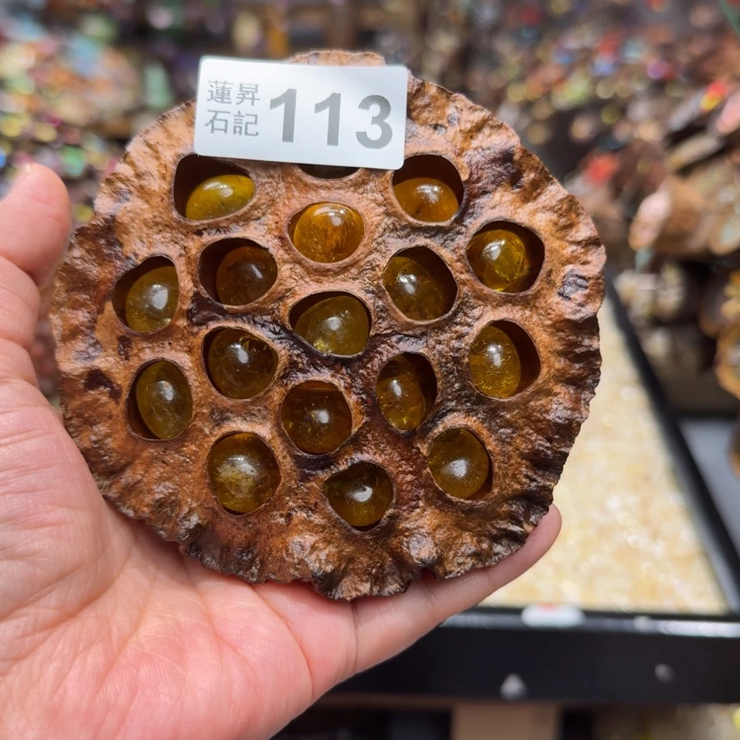 米***菜核桃木/黑胡桃（胡桃木）113
