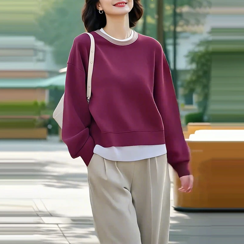 春季新款洋气衣服女韩版圆领套头长袖卫衣高级感清冷系禅意衣服女